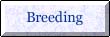 Button_breeding.jpg (2028 bytes)