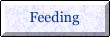 Button_feeding.jpg (1965 bytes)